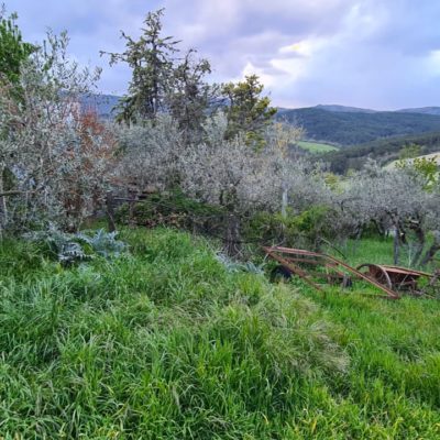 spoleto vicinanze vendesi porzione indipendente