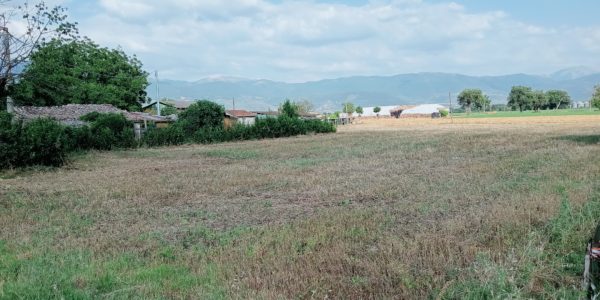 Castel Ritaldi vicinanze vendesi terreno edificabile