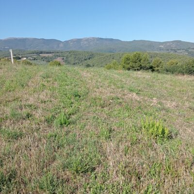 In Vendita: Terreno Agricolo di 3 Ettari – Castel Ritaldi (PG)