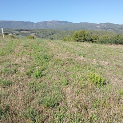 In Vendita: Terreno Agricolo di 3 Ettari – Castel Ritaldi (PG)