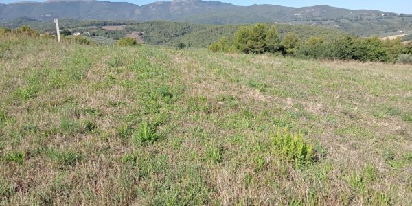 In Vendita: Terreno Agricolo di 3 Ettari – Castel Ritaldi (PG)