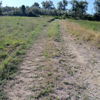 In Vendita: Terreno Agricolo di 3 Ettari – Castel Ritaldi (PG)